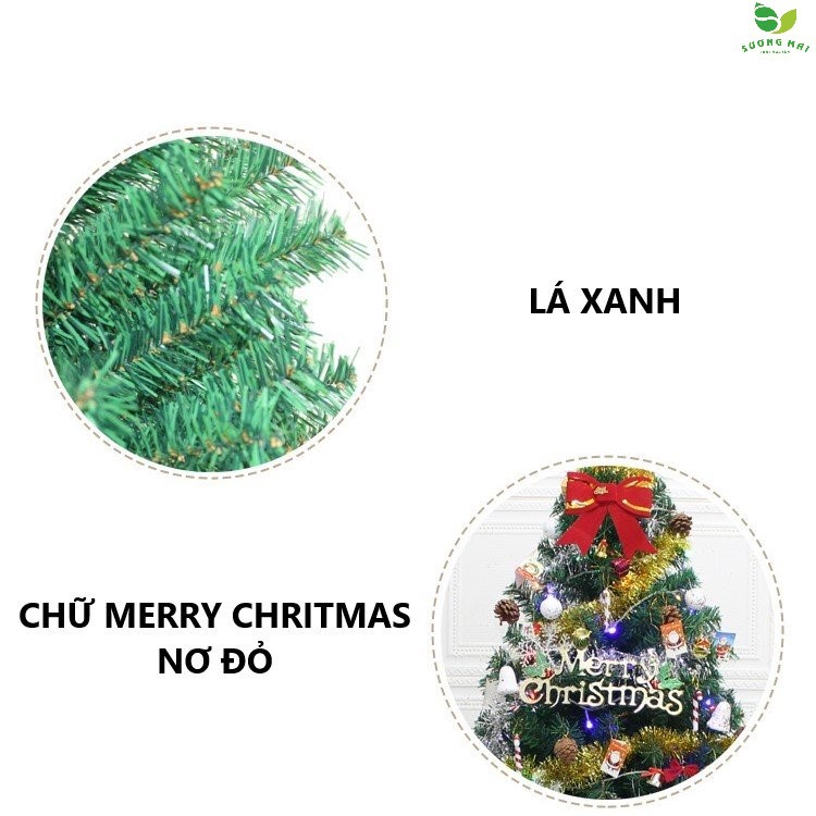 636a00cca49b90b1b64d5b36