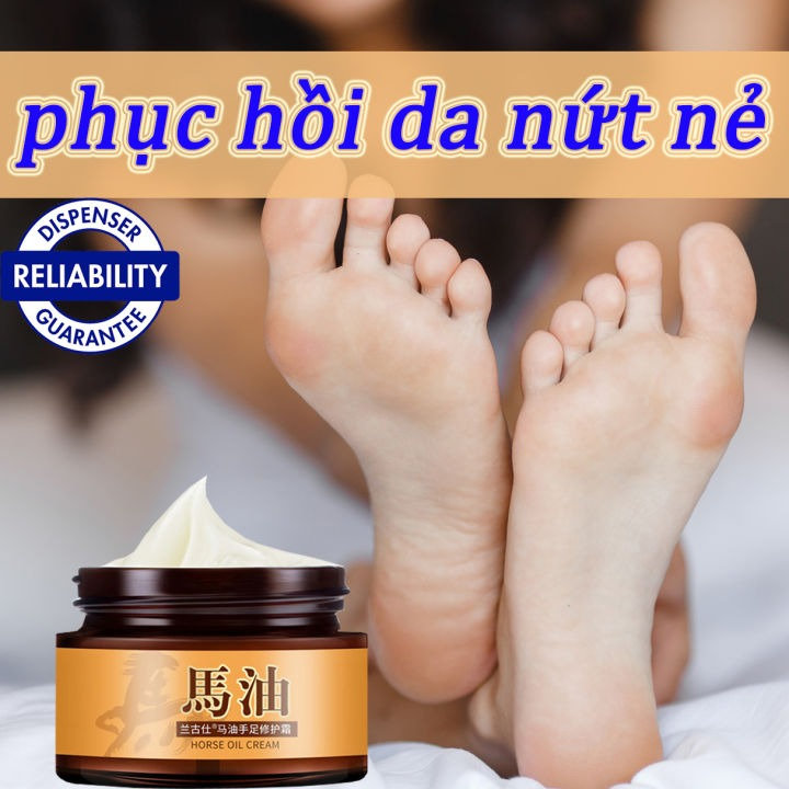 65fa6d1304c8cd52eaf20c70