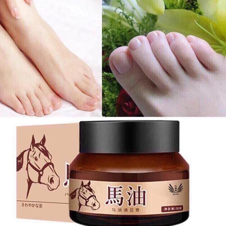 65fa6d1304c8cd52eaf20c70