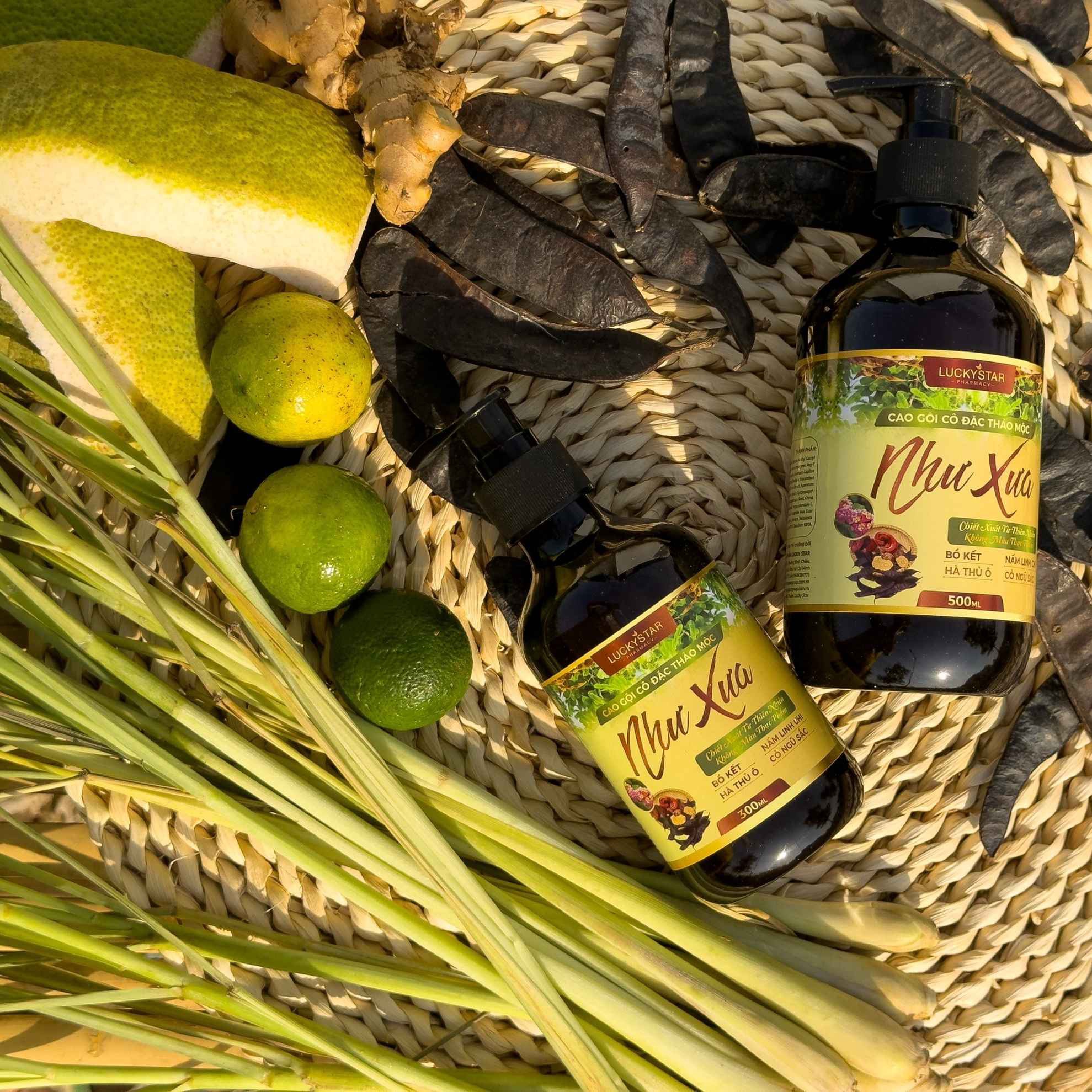 6613684b04c8cd52eaf26553