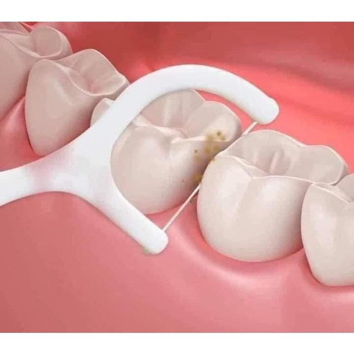 65f3ed7504c8cd52eaf1efd2