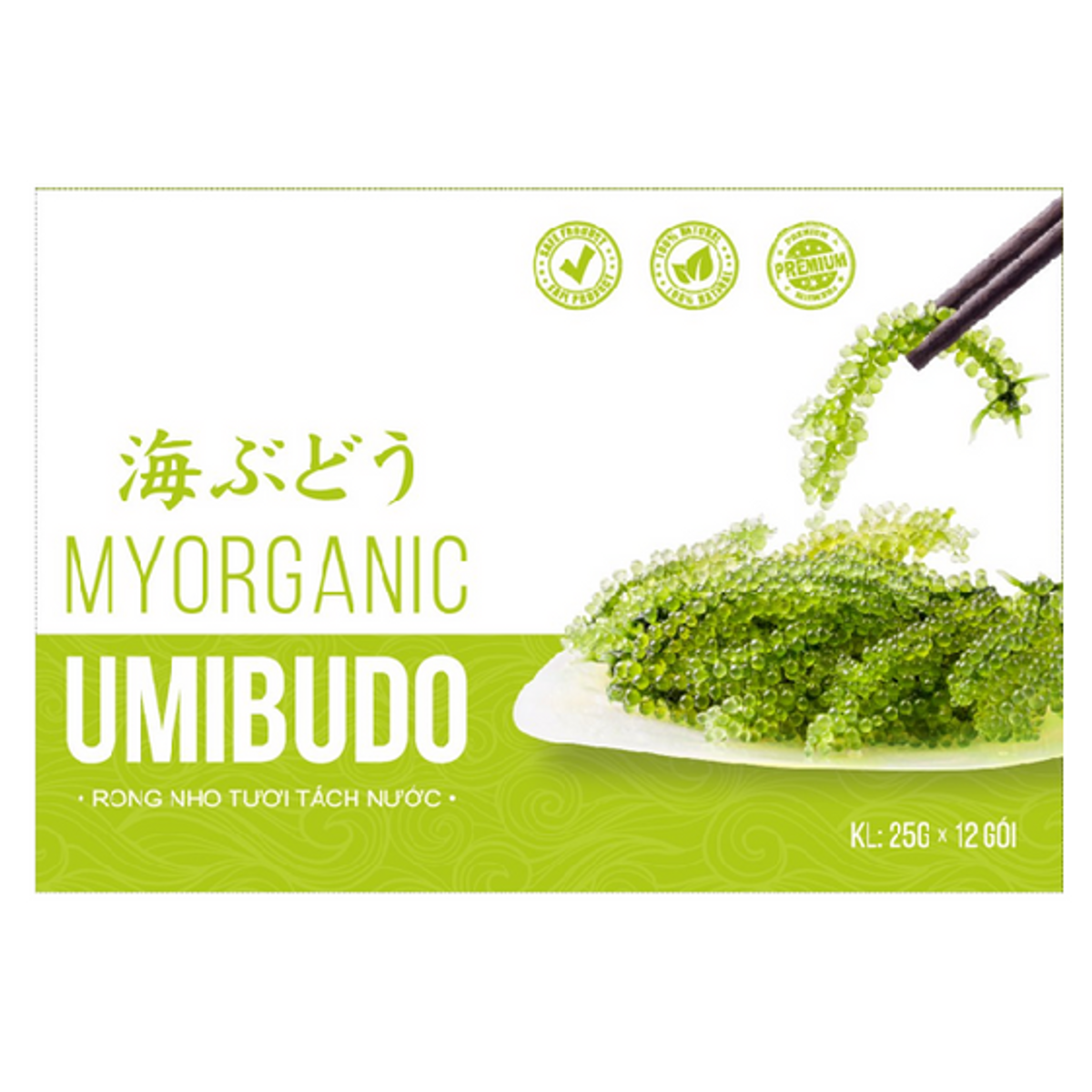 61e3c8fdc85a6e2a735b5731