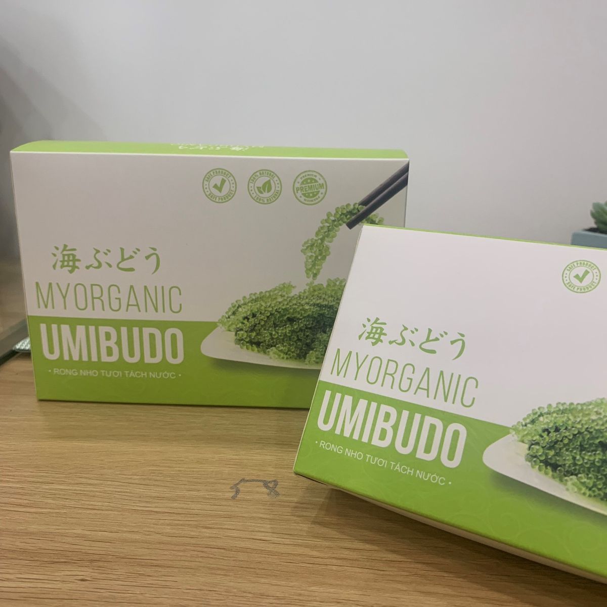 618b6cadeed18e3598ddc48e