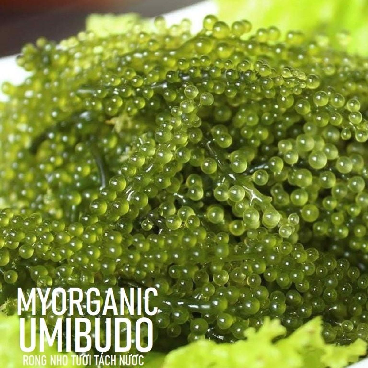 618b6cadeed18e3598ddc48e