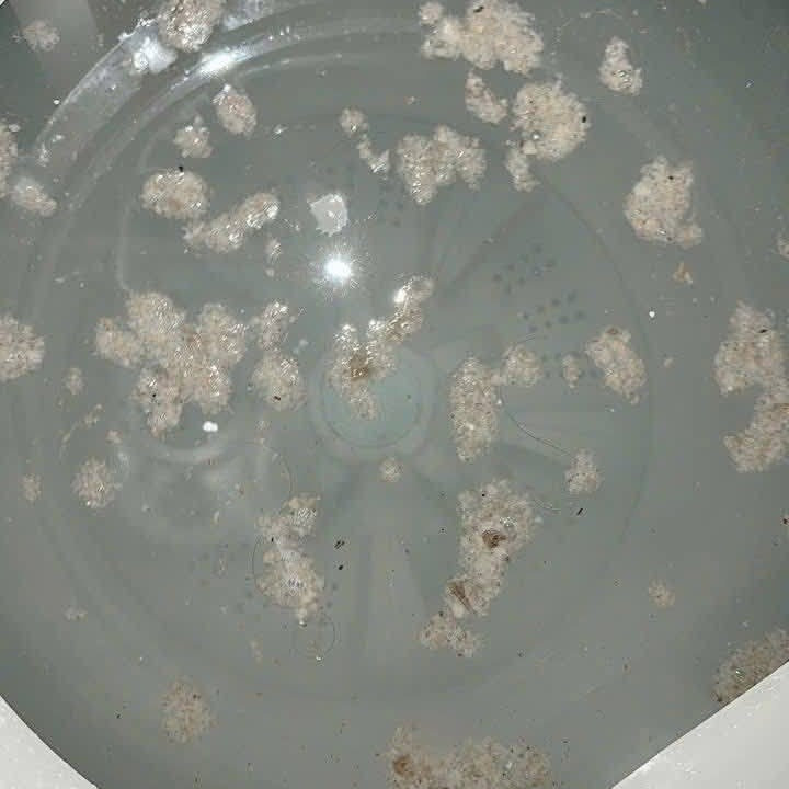 68b909b747a04f052ed6e1e6