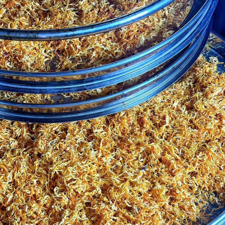 6919c46c47a04f052ed721c3