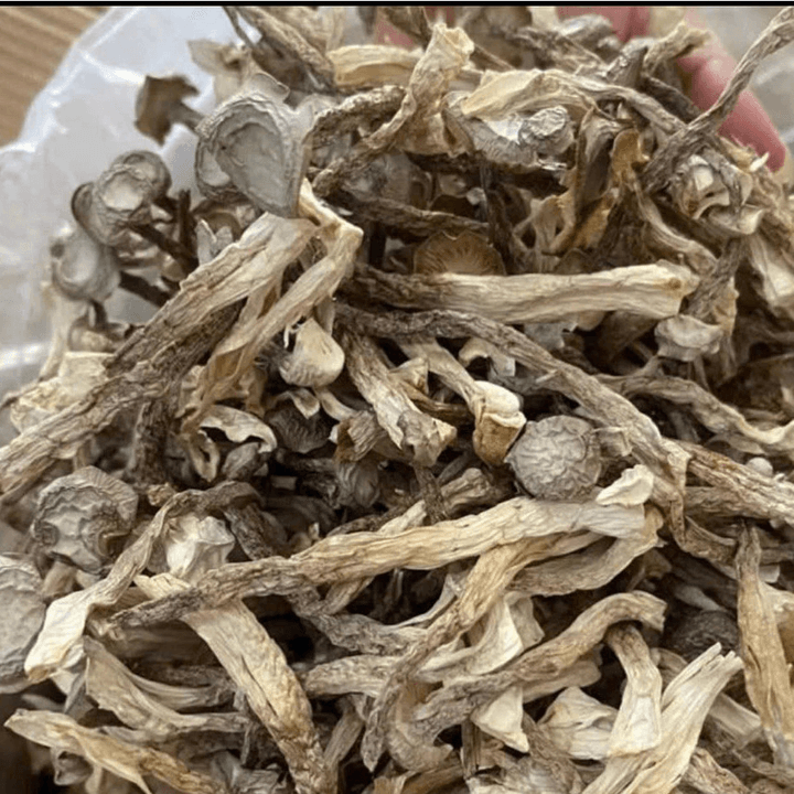 6927a0f947a04f052ed72ad1