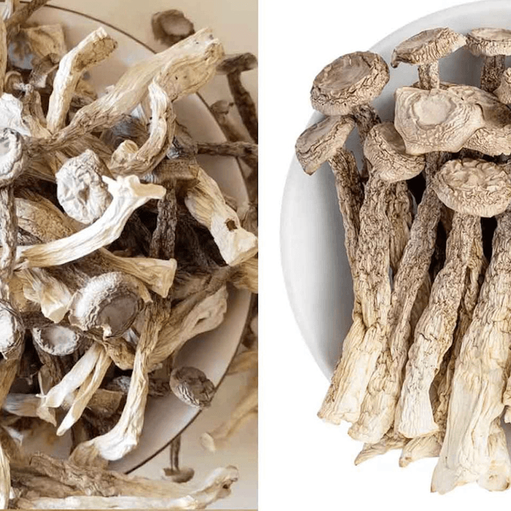 6927a0f947a04f052ed72ad1