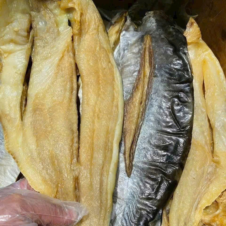 6937d11647a04f052ed73374