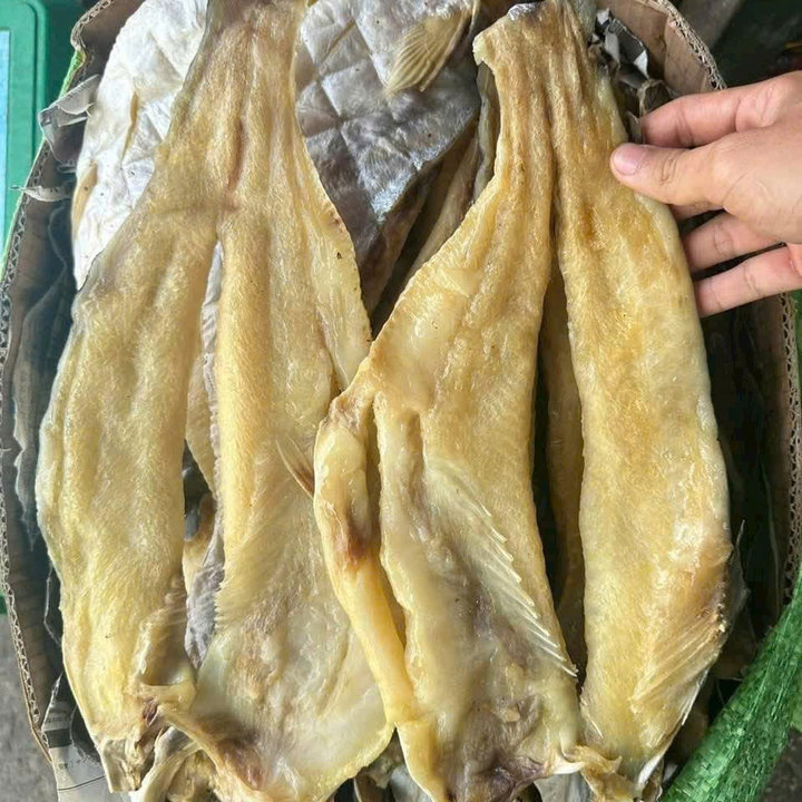 6937d11647a04f052ed73374