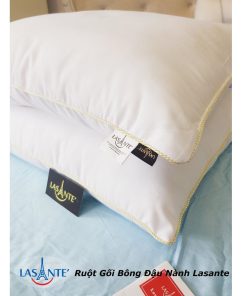 Ruột Gối Trắng Xơ đậu Nành - Lasante