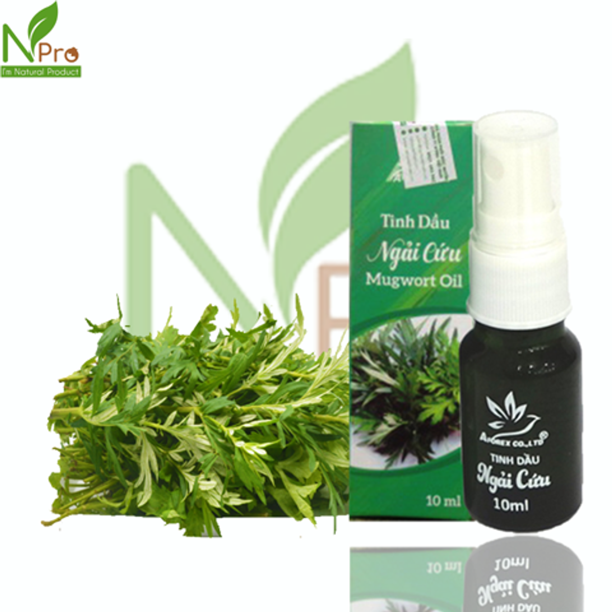 6128b208896d3afbcd64c8c1