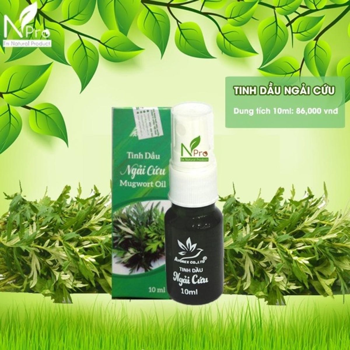 6128b208896d3afbcd64c8c1