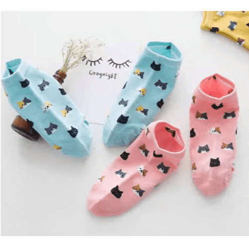 693e6db247a04f052ed736dc