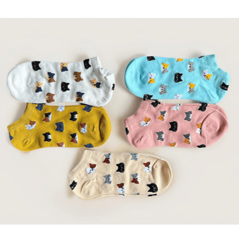 693e6db247a04f052ed736dc