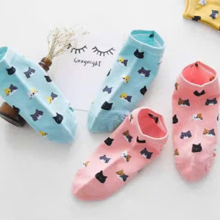 693e6f7647a04f052ed736f0