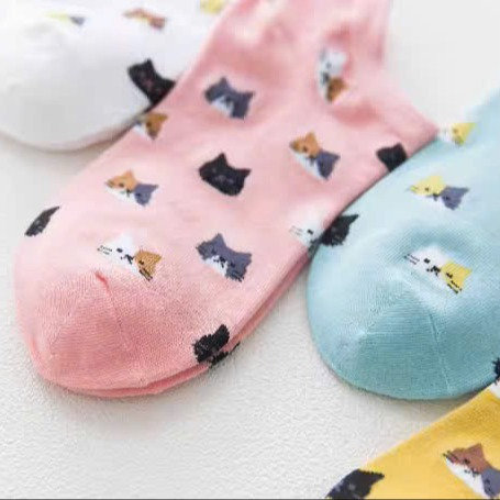 693e6f7647a04f052ed736f0